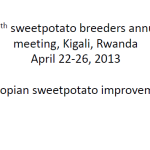 Ethiopian sweetpotato improvement