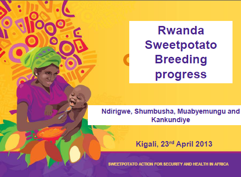 Rwanda Sweetpotato Breeding progress