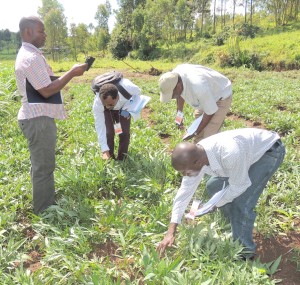 CoP members learn how to carry out inspection of QDS