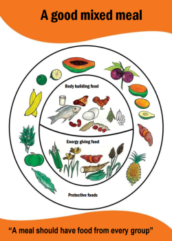 Charts On Nutrition