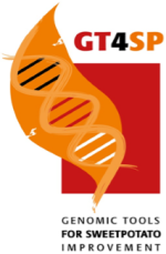 GT4SP logo