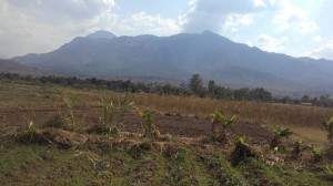 Thomu Village