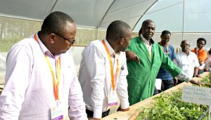 Participants visit a screenhouse at KEPHIS