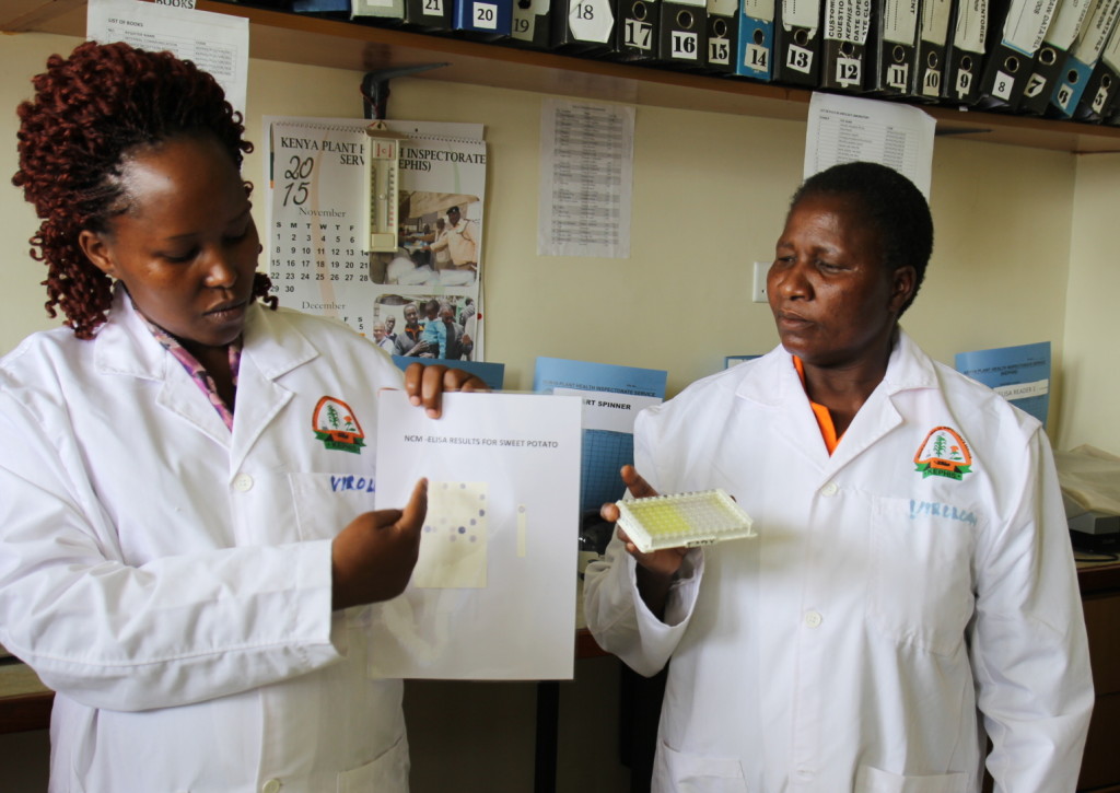 KEPHIS PQBS staff Florence Munguti (left) and Jully Nyapur explain how virus testing works