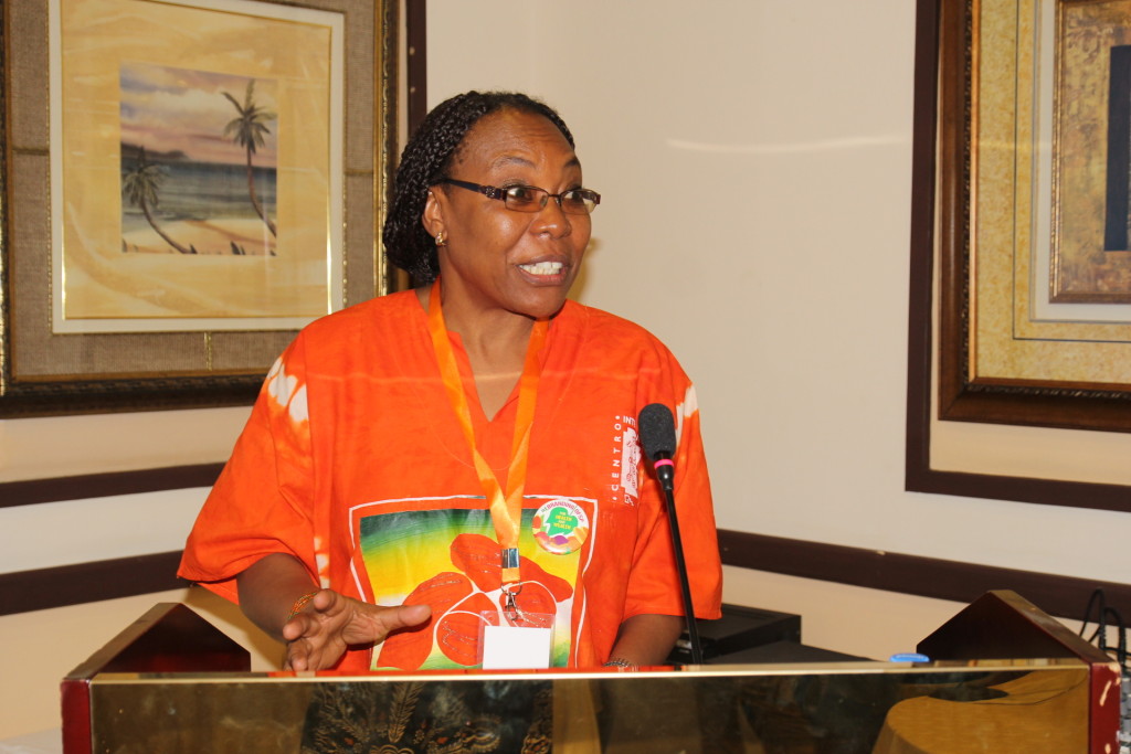 Oduro facilitates a panel discussion on youth and gender at the 2016 Marketing, Processing and Utilization Community of Practice meeting in Tanzania