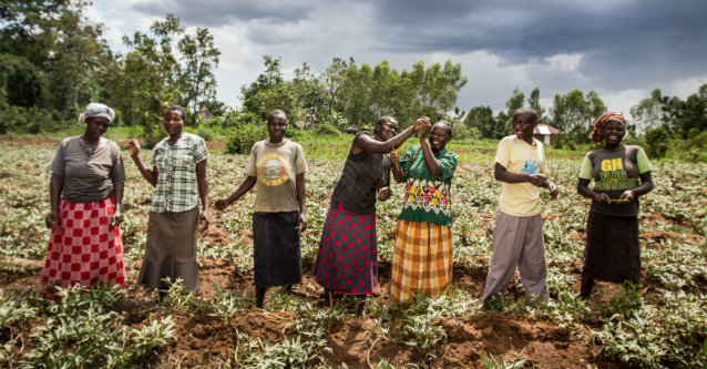 Orange-fleshed Sweet Potato Products are Improving Nutrition in Malawi