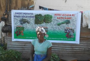 A signpost marketing sweetpotato vines in Uganda