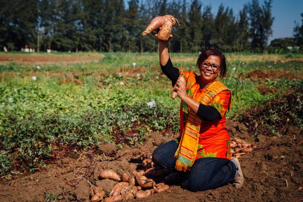 CIP's Maria Andrade in a sweetpotato field in Mozambique