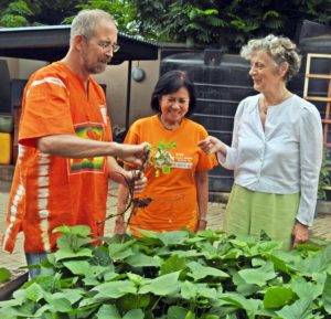Ted Carey and Erna Abidin of CIP demonstrating seed system work to Nane Lagergren (Credit Tessa Smit)