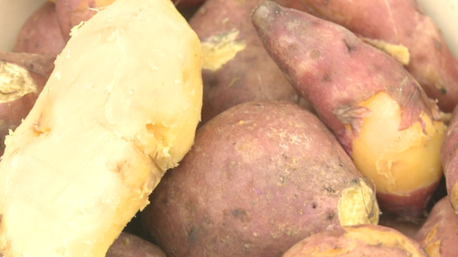 sweetpotato for child malnutrition