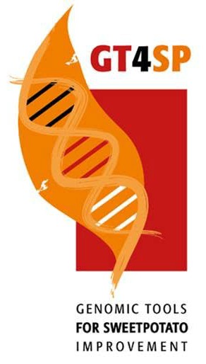 Sweetpotato leaf preservation methods