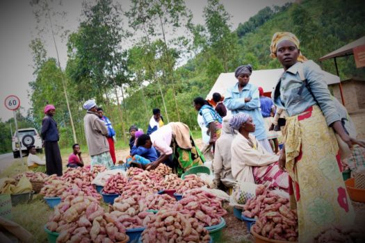Farmers selling sweetpotato at the wholesale market (photo by Aime Ndayisenga)