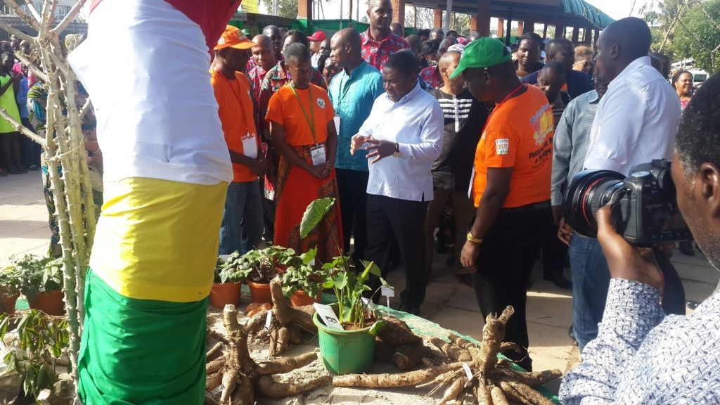 President of Mozambique Jacinto Filipe Nyusi visits stand dedicated to new OFSP varieties (Photo: A. Naico / CIP-SSA)