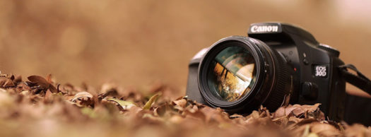 Photo contest