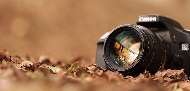 Photo contest