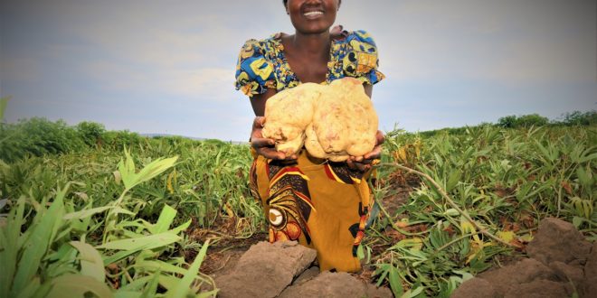 Women with Sweetpotato