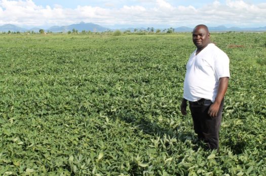 Mabvuto Mndau standing his farm in Malawi