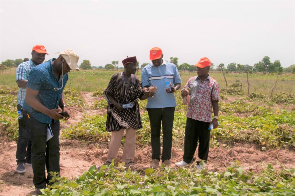 National Varietal Release & Registration Committe in Ghana