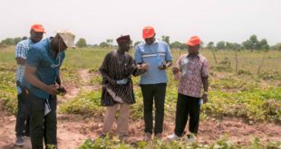 National Varietal Release & Registration Committe in Ghana
