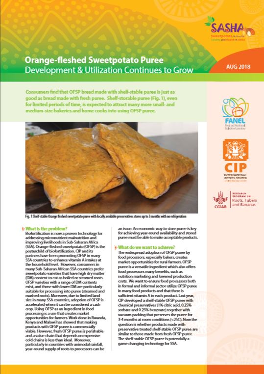 Sasha Brief 16 Orange Fleshed Sweetpotato Puree Development Utilization Continues To Grow Sweetpotato Knowledge Portal