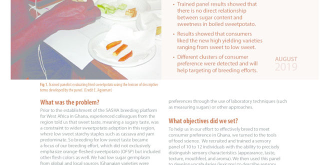 thumbnail of 05-SASHA_BREEDING_Breeding-and-Prospects-for-Low-Sweet-Sweetpotato-in-West-Africa_4p_Web