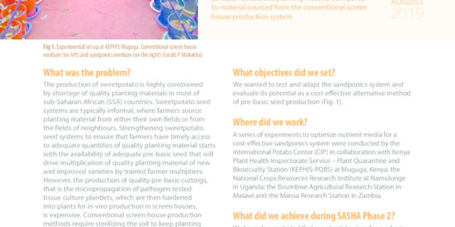 thumbnail of 08-SASHA_SEED_Sandponics-System-4p_web