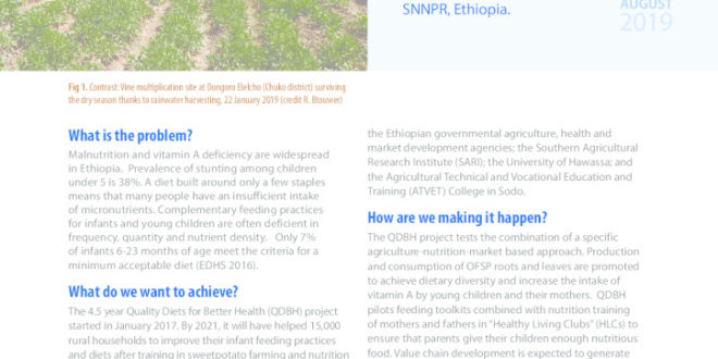thumbnail of 28-SPHI_EU_Quality-Diets-for-Better-Health-in-Ethiopia