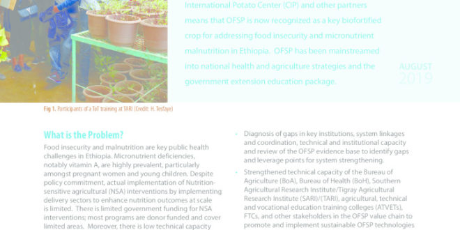 thumbnail of 33-SPHI_IRISH_AID_ETHIOPIA_ST
