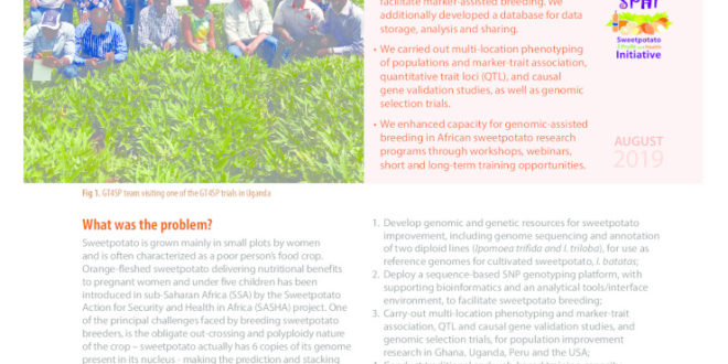 thumbnail of 34-SPHI_Genomic-Tools-for-Sweetpotato-Improvement-Project-GT4SP_2p-web