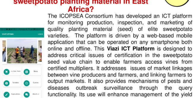 thumbnail of Ssetumba-ICOPSEA-60-seconds-Pitch