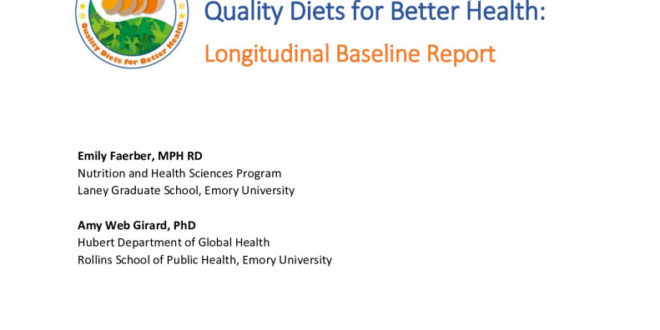 thumbnail of QDBH_Longitudinal_Baseline_Report_20Feb2020-1